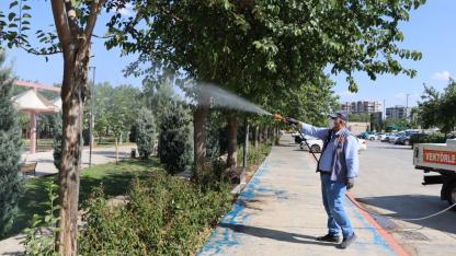 ŞANLIURFA'DA İLAÇLAMA SEFERBERLİĞİ EKİPLER GECE GÜNDÜZ SAHADA!